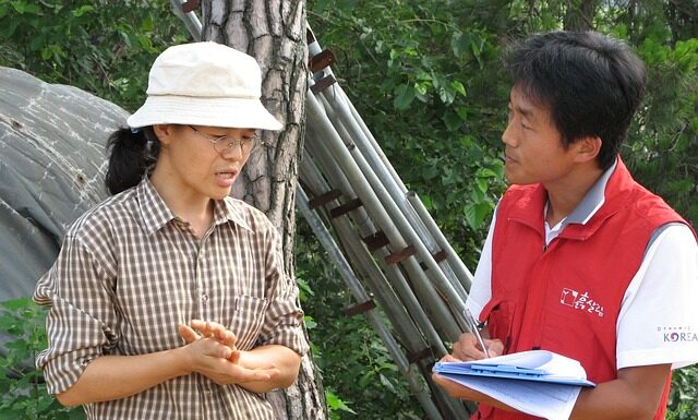 Które światła sprawdza egzaminator? Które światła sprawdza egzaminator?