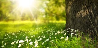 Czy białe drzwi żółkną?