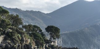 Ile kosztuje przegląd w Mercedesie?